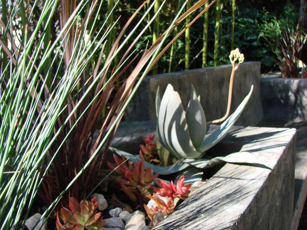 Jedidja Bed And Breakfast Bloemfontein Exterior foto